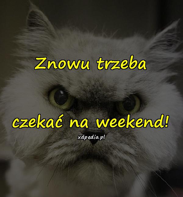 Znowu trzeba czekać na weekend