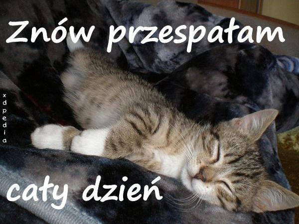 Znów przespałam cały dzień