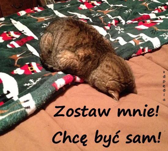 Zostaw mnie! Chcę być sam