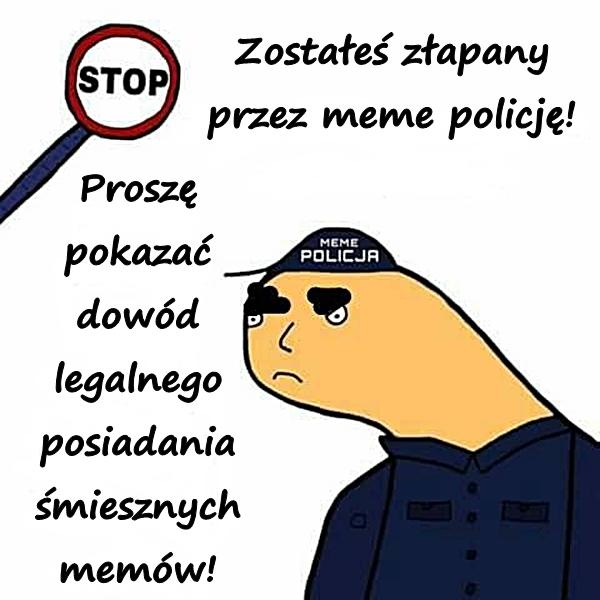 Zostałeś złapany przez meme policję! Proszę pokazać dowód