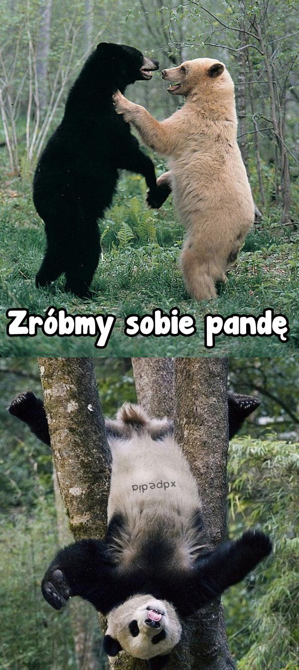 Zróbmy sobie pandę