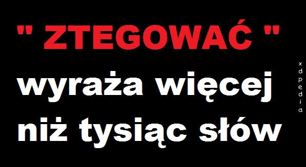 ZTEGOWAĆ wyraża więcej niż tysiąc słów