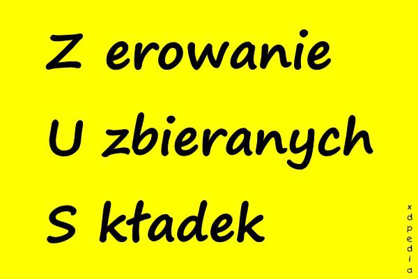 ZUS - Zerowanie Uzbieranych Składek