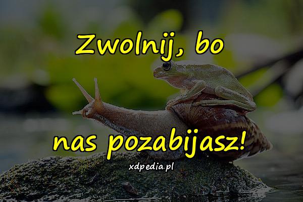 Zwolnij, bo nas pozabijasz