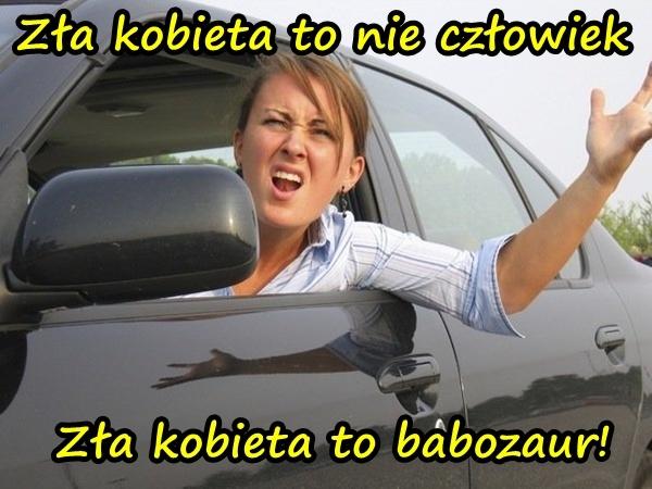 Zła kobieta to nie człowiek. Zła kobieta to babozaur