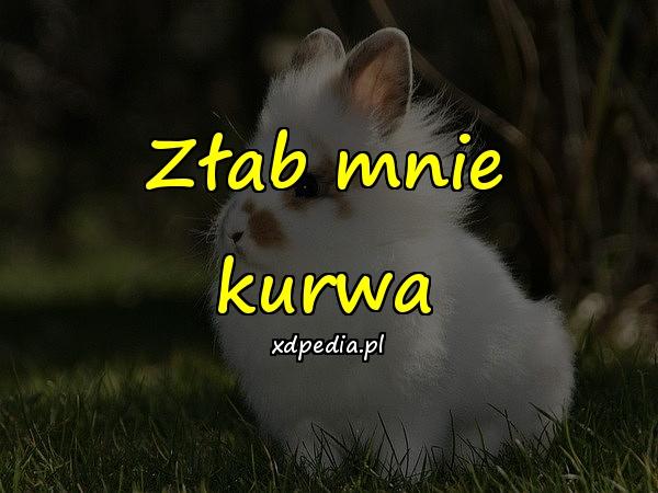 Złab mnie kurwa