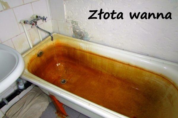 Złota wanna