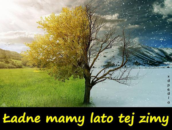 Ładne mamy lato tej zimy