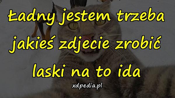 Ładny jestem trzeba jakieś zdjecie zrobić laski na to ida