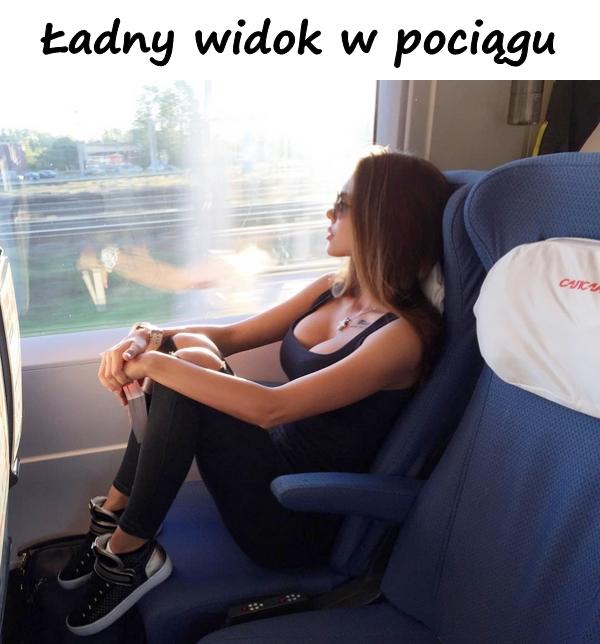 Ładny widok w pociągu