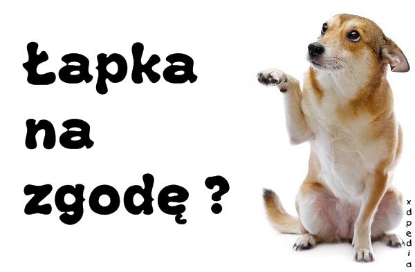 Łapka na zgodę