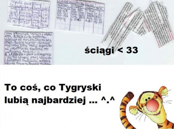 Ściągi to coś co Tygryski lubią najbardziej