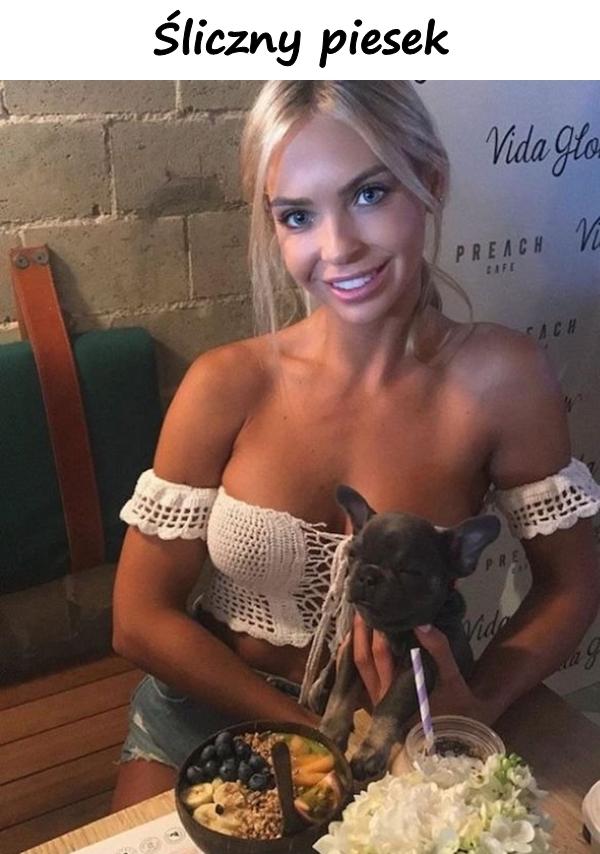Śliczny piesek