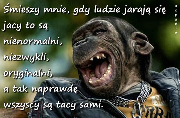 Śmieszy mnie, gdy ludzie jarają się jacy to są nienormalni