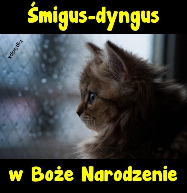 Śmigus-dyngus w w Boże Narodzenie