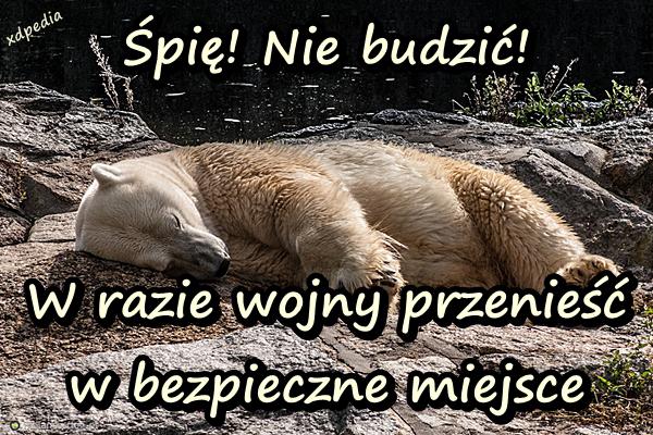 Śpię! Nie budzić! W razie wojny przenieść w bezpieczne