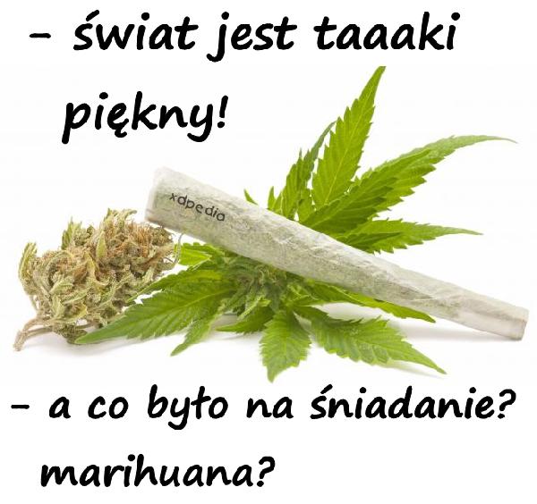 - świat jest taaaki piękny! - a co było na śniadanie