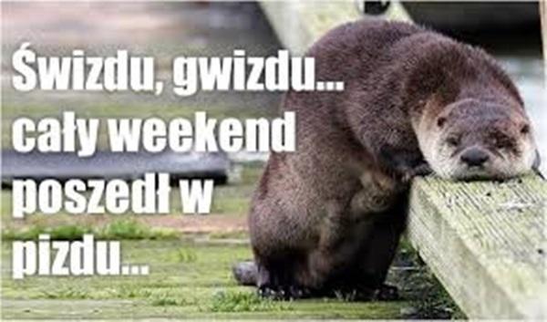 Świzdu, gwiazdu, cały weekend poszedł w pizdu