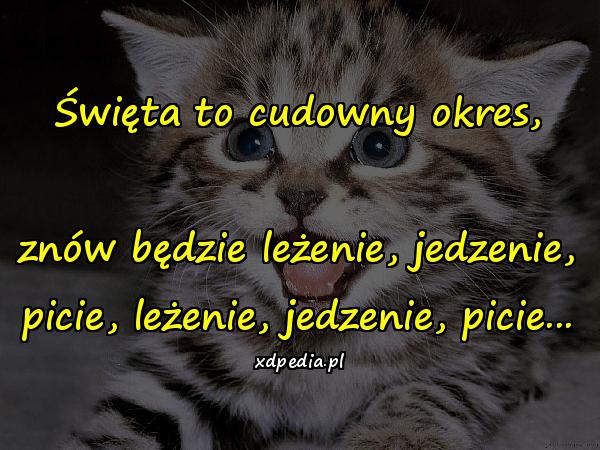 Święta to cudowny okres, znów będzie leżenie, jedzenie