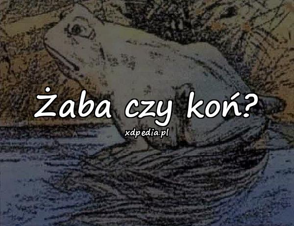 Żaba czy koń