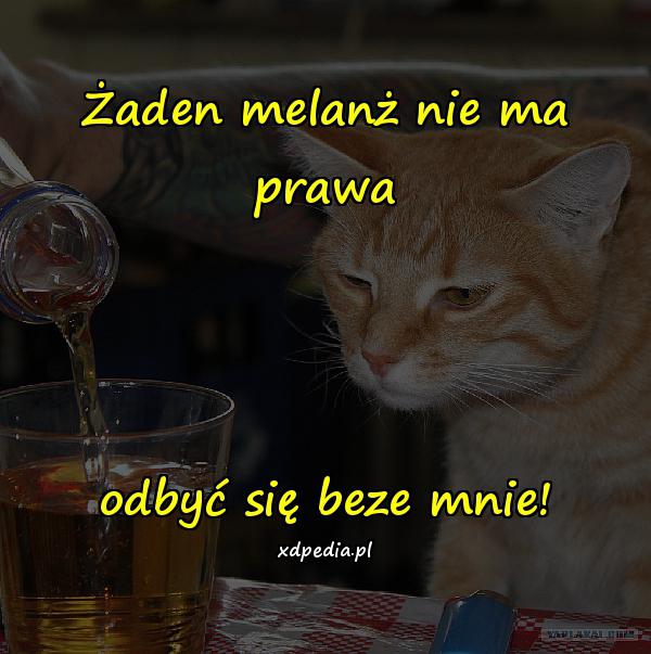 Żaden melanż nie ma prawa odbyć się beze mnie