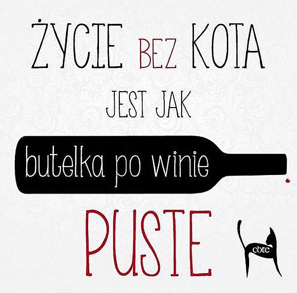 Życie bez kota jest jak butelka po winie, puste