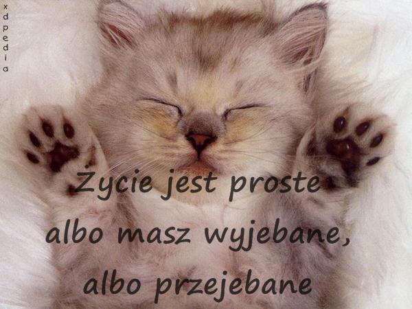 Życie jest proste albo masz wyjebane, albo przejebane