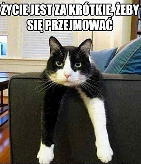 Życie jest za krótkie żeby się przejmować