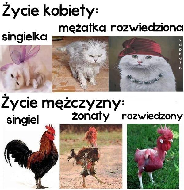 Życie kobiety vs. życie mężczyzny singielka vs. singiel