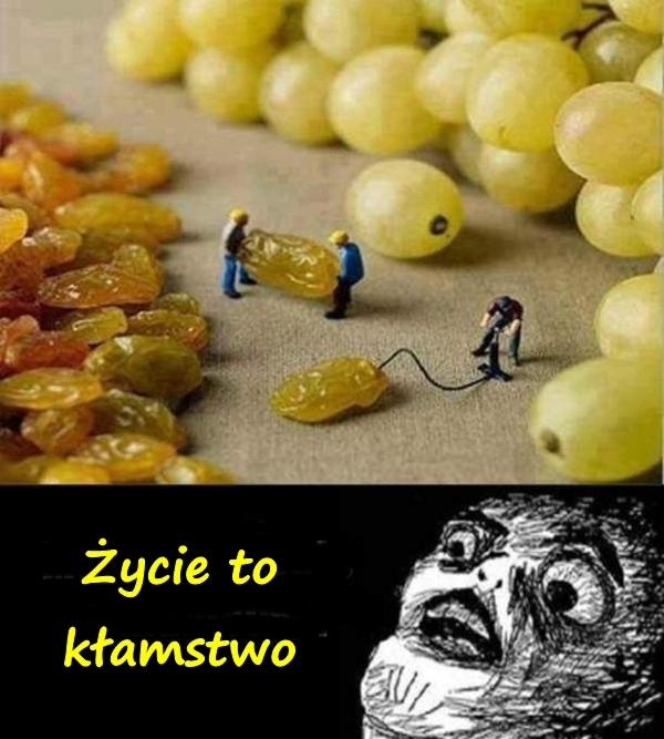 Życie to kłamstwo