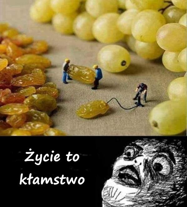 Życie to kłamstwo