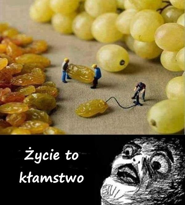 Życie to kłamstwo