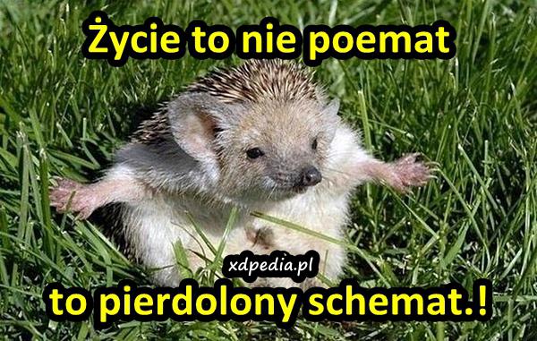 Życie to nie poemat, to pierdolony schemat