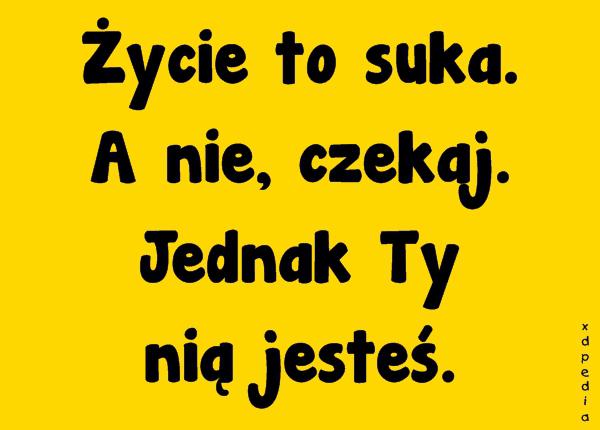 Życie to suka. A nie, czekaj. Jednak Ty nią jesteś