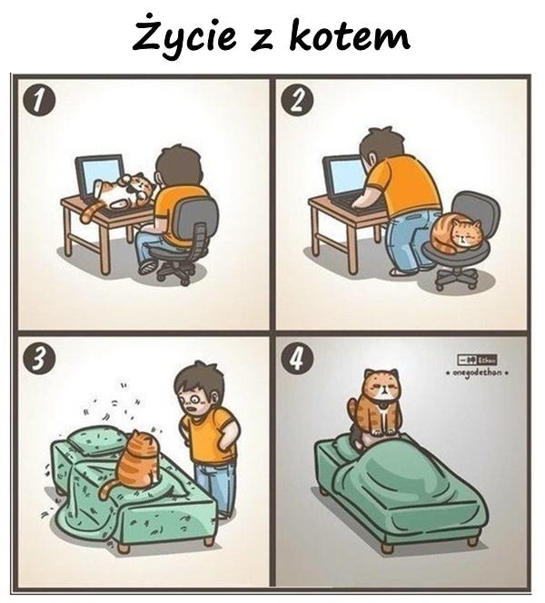 Życie z kotem