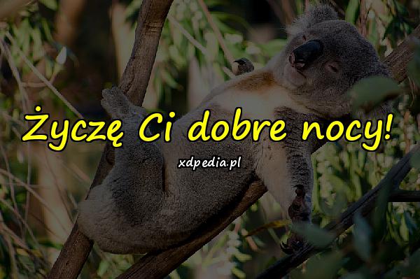 Życzę Ci dobre nocy