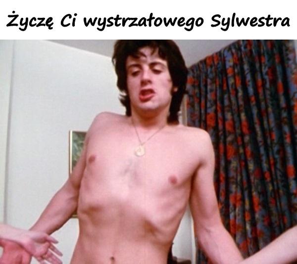 Życzę Ci wystrzałowego Sylwestra