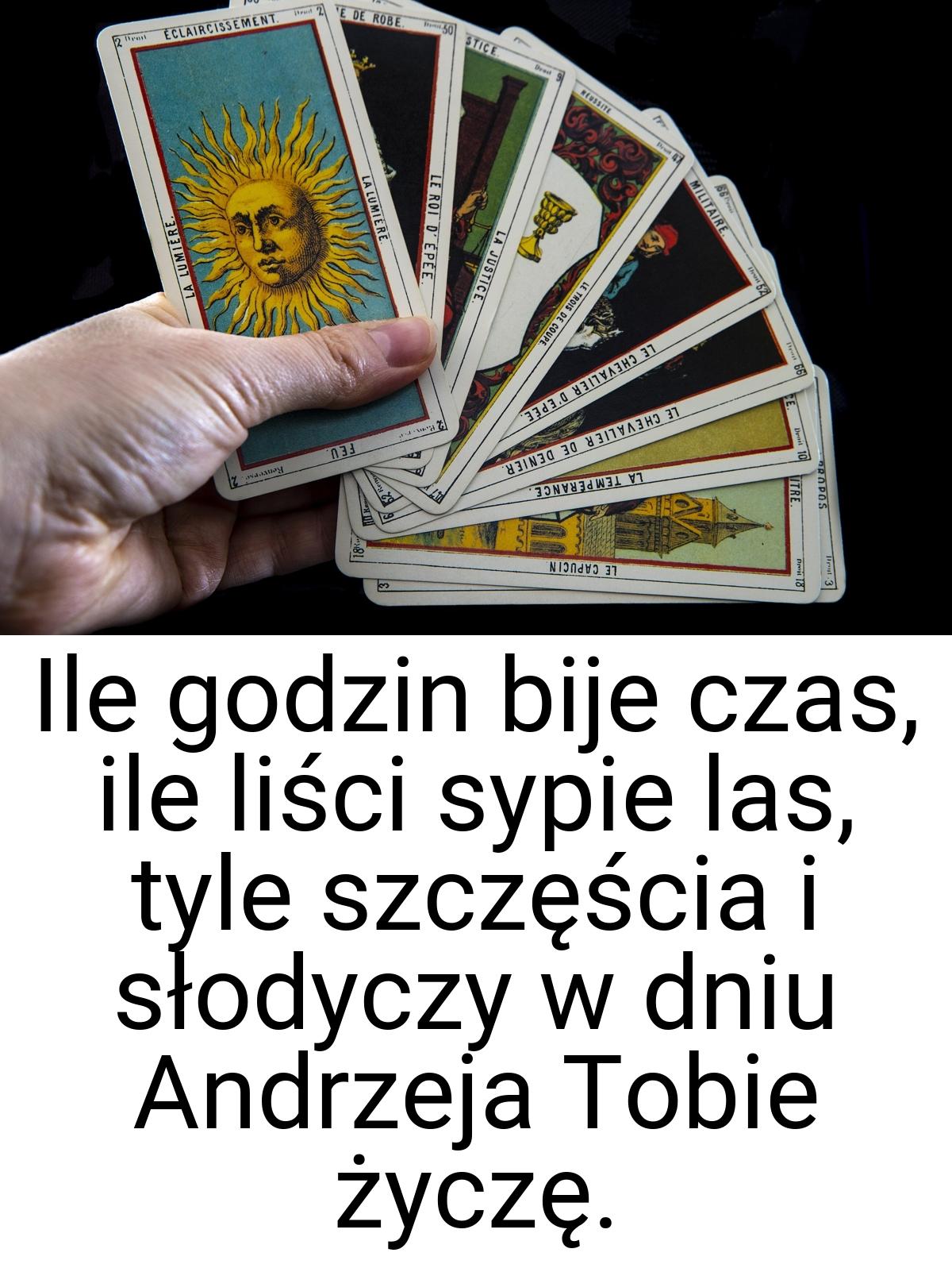 Ile godzin bije czas, ile liści sypie las, tyle szczęścia i