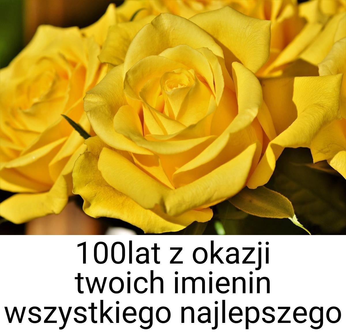 100lat z okazji twoich imienin wszystkiego najlepszego