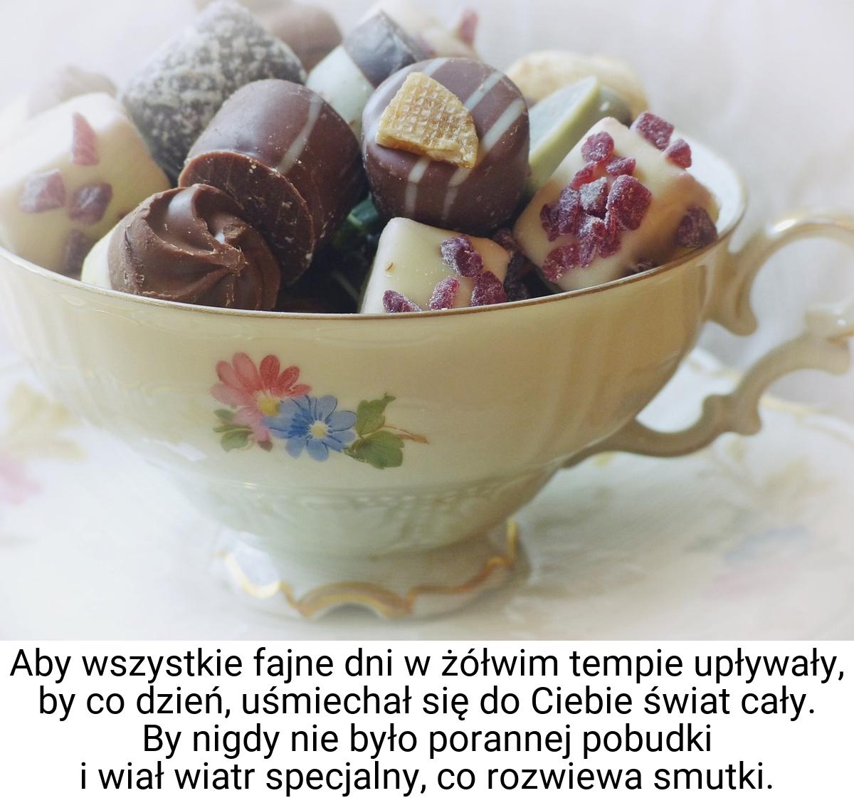 Aby wszystkie fajne dni w żółwim tempie upływały, by co