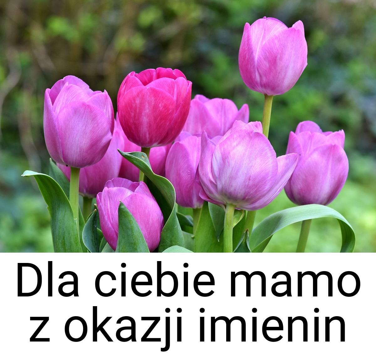 Dla ciebie mamo z okazji imienin