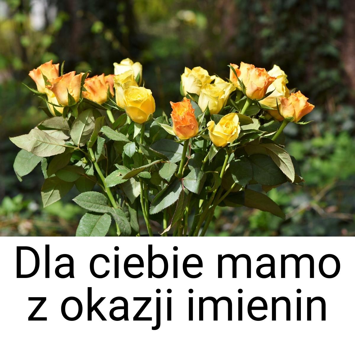 Dla ciebie mamo z okazji imienin