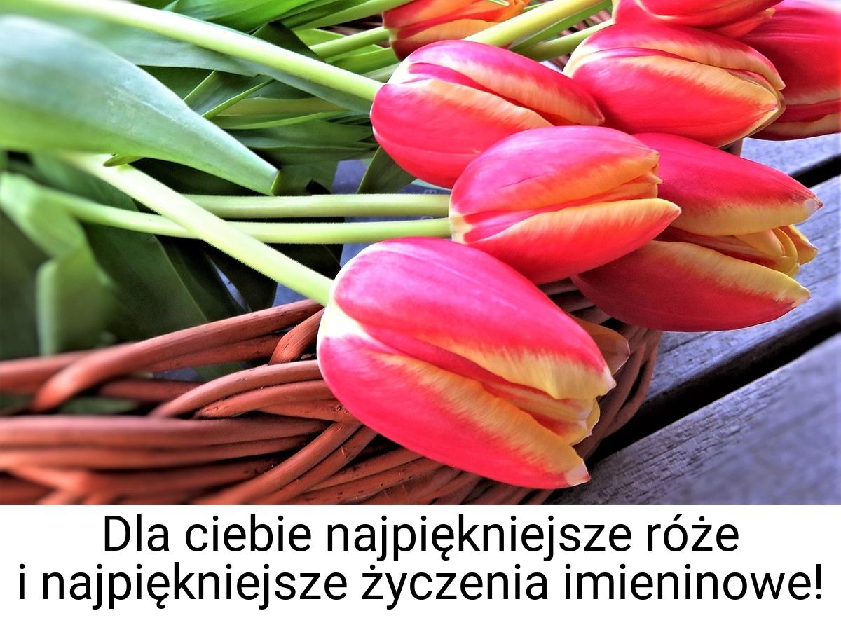 Dla ciebie najpiękniejsze róże i najpiękniejsze życzenia