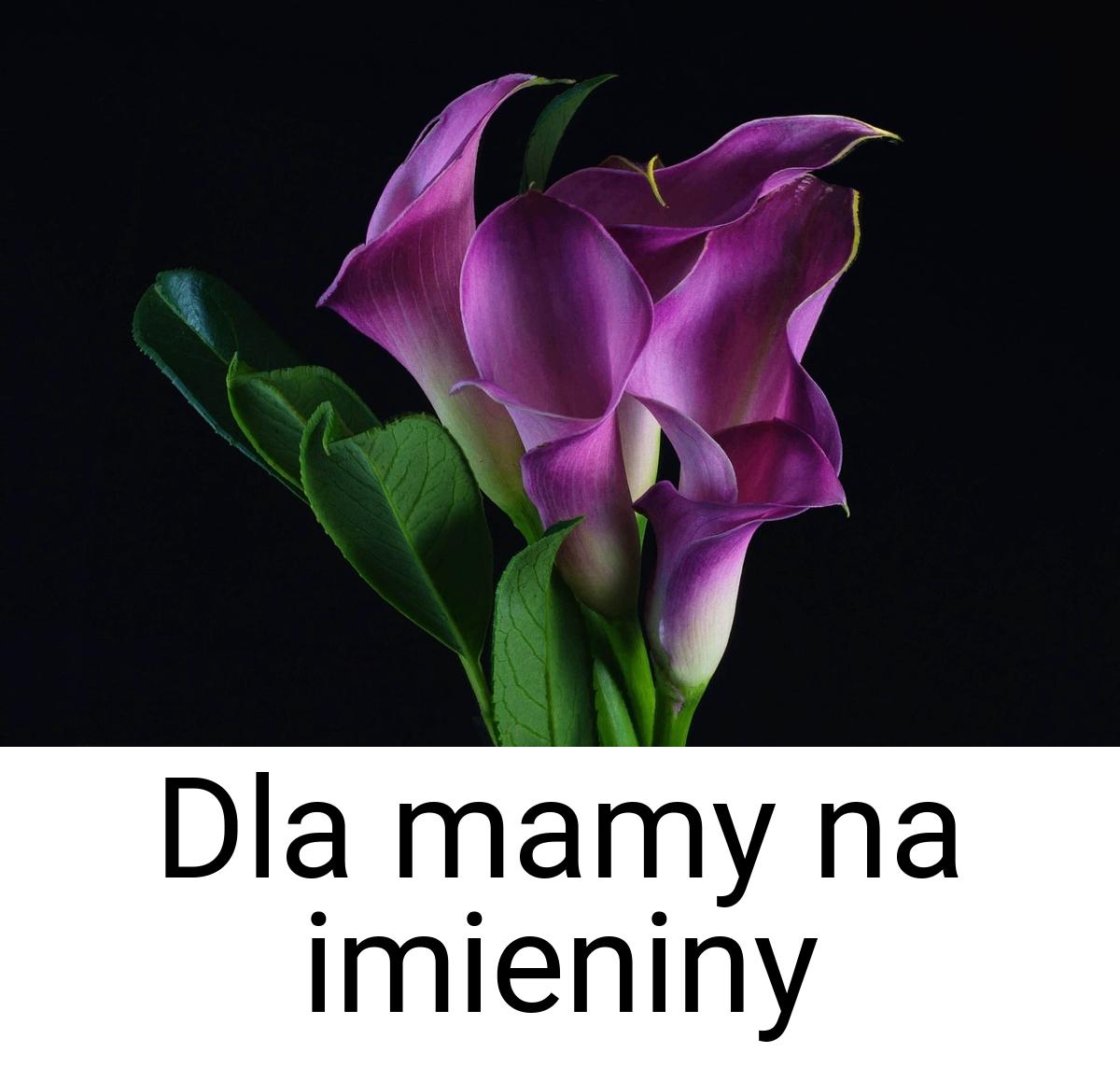 Dla mamy na imieniny