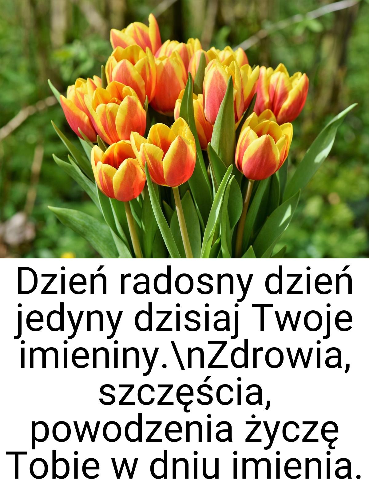 Dzień radosny dzień jedyny dzisiaj Twoje