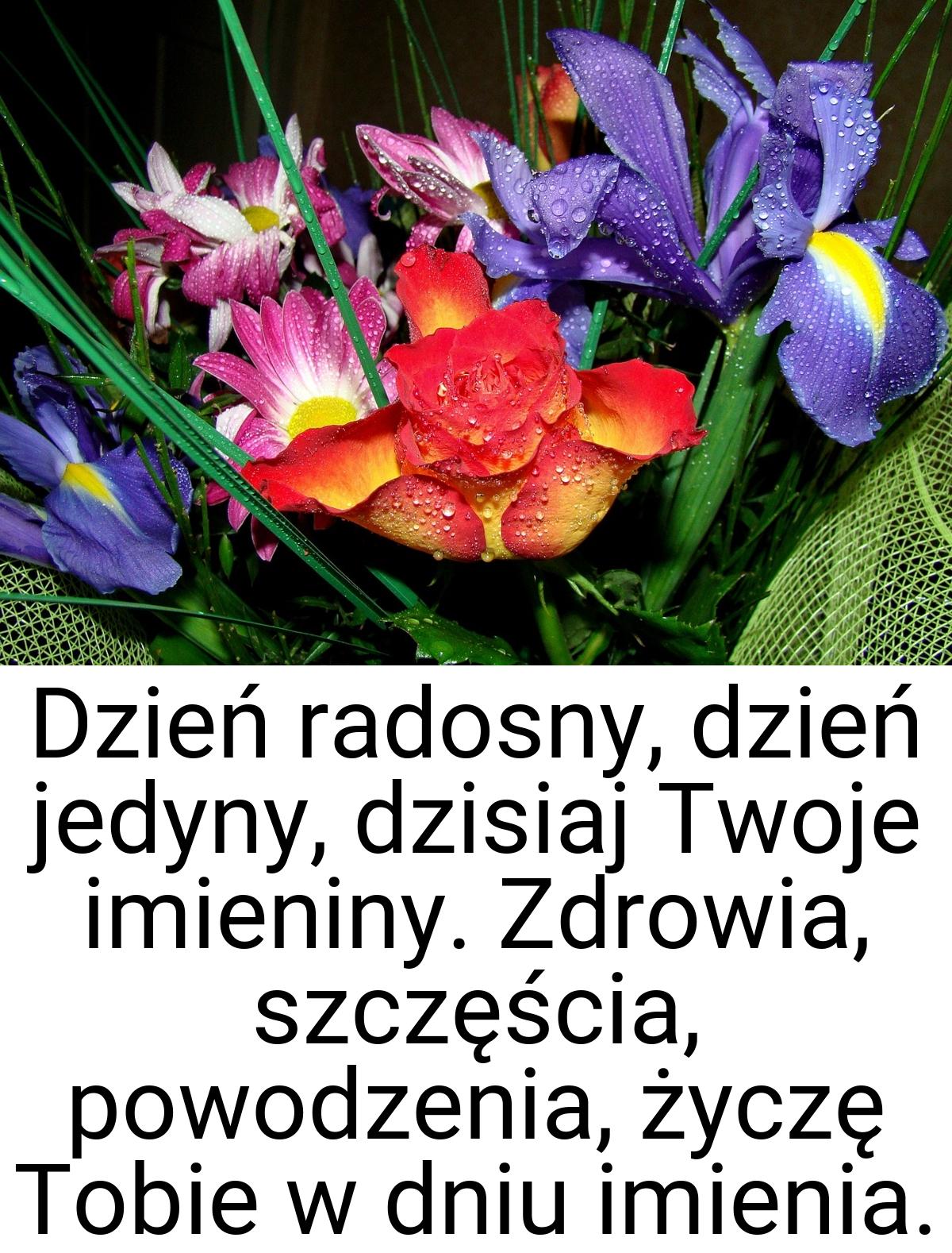 Dzień radosny, dzień jedyny, dzisiaj Twoje imieniny