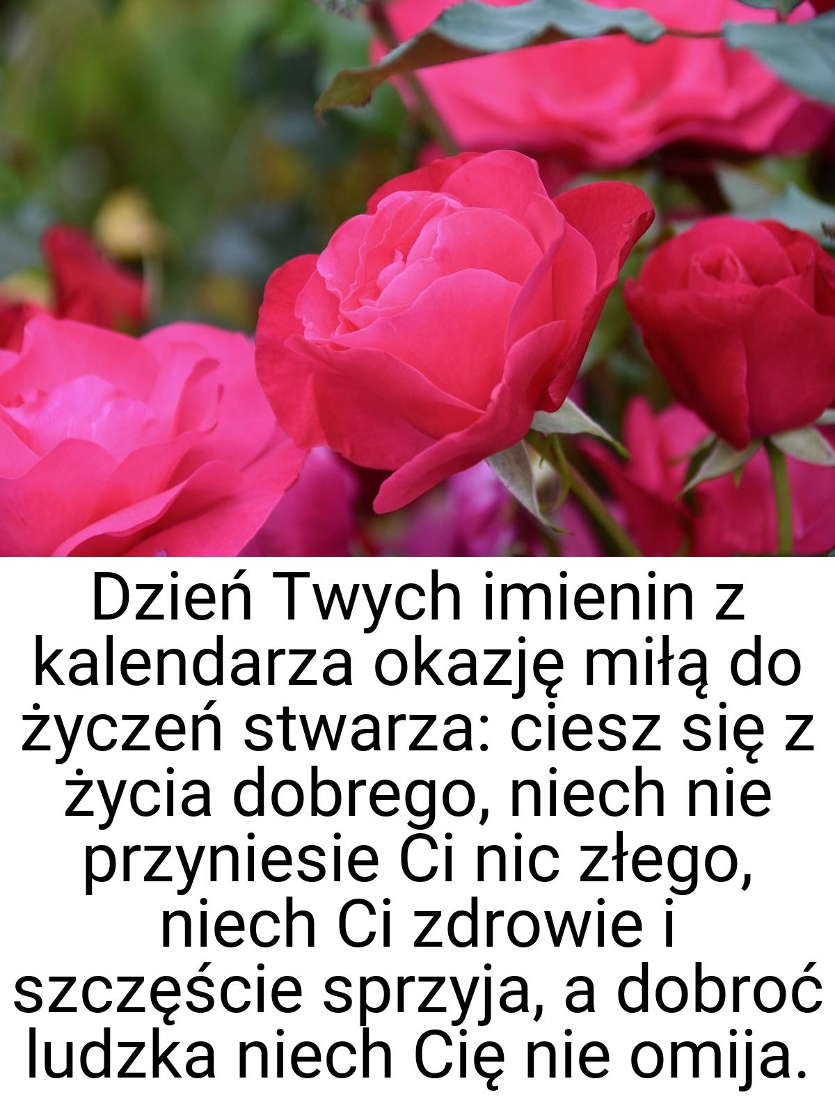 Dzień Twych imienin z kalendarza okazję miłą do życzeń