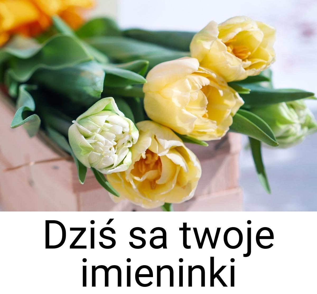 Dziś sa twoje imieninki