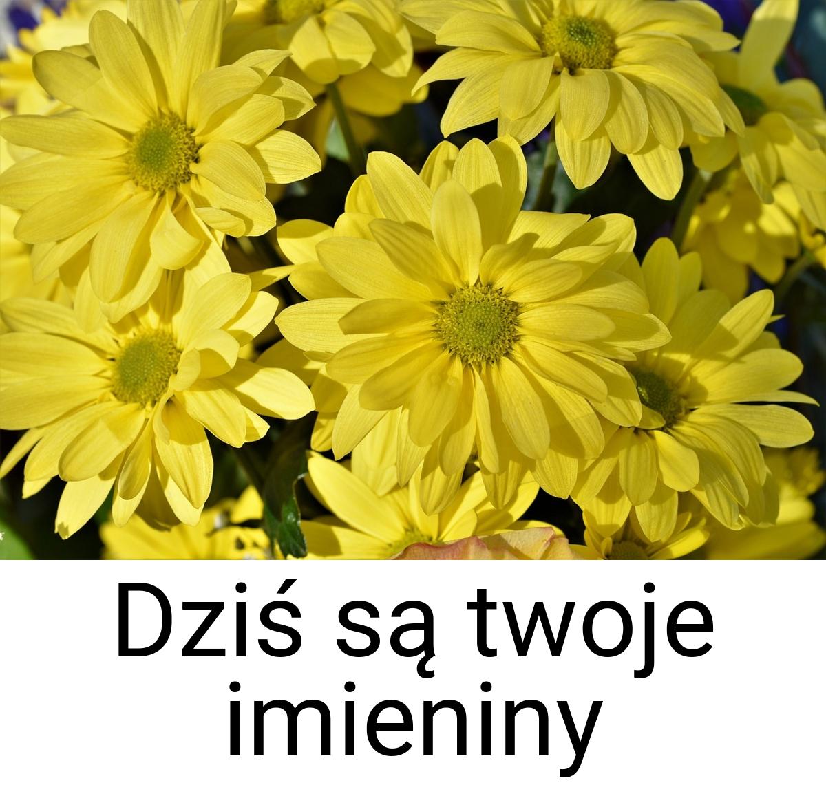 Dziś są twoje imieniny