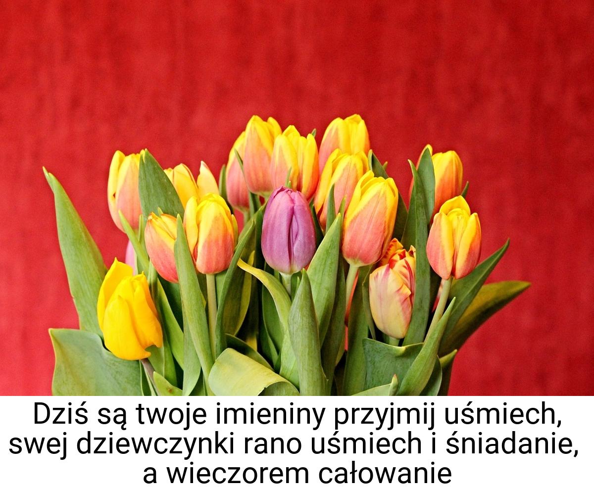 Dziś są twoje imieniny przyjmij uśmiech, swej dziewczynki